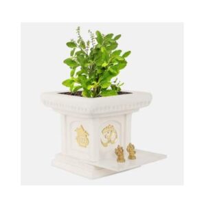 12 Inches Tulsi Planter Flower Pot