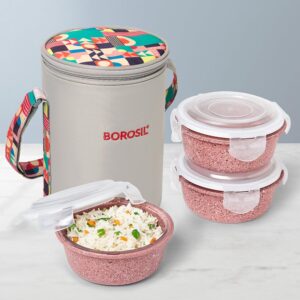 Borosil Kube Pink Glass Lunchbox Set