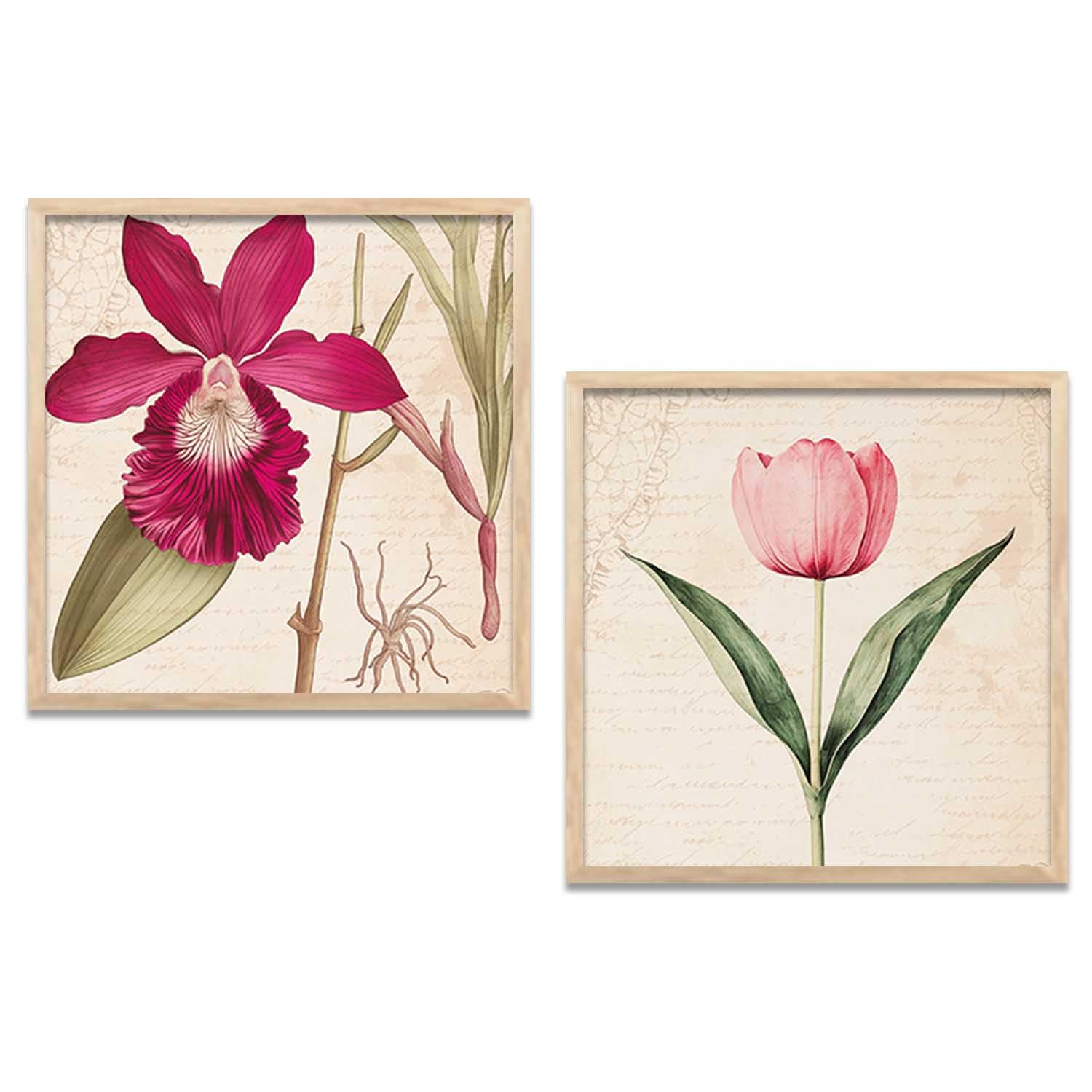 Framed Botanical Wall Art for Home - Set of 2, 8x8 Inch