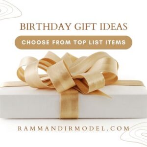 Camphor Cone Pack of 4, Original, Air Freshener