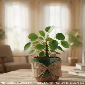 Leaf Lamp: German Silver Ganesha Diya Gift