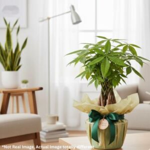 Craft Wear: Tibetan Pendant Jewelry Set